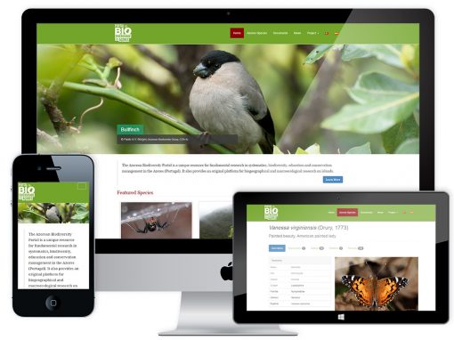 Web Design e Programação – Portal da Biodiversidade dos Açores