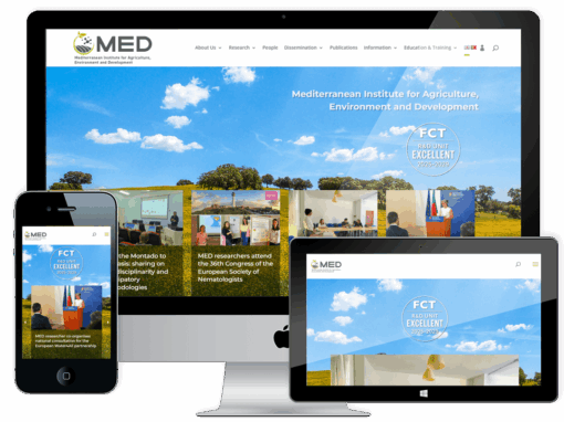 Web Design e Programação – Portal MED